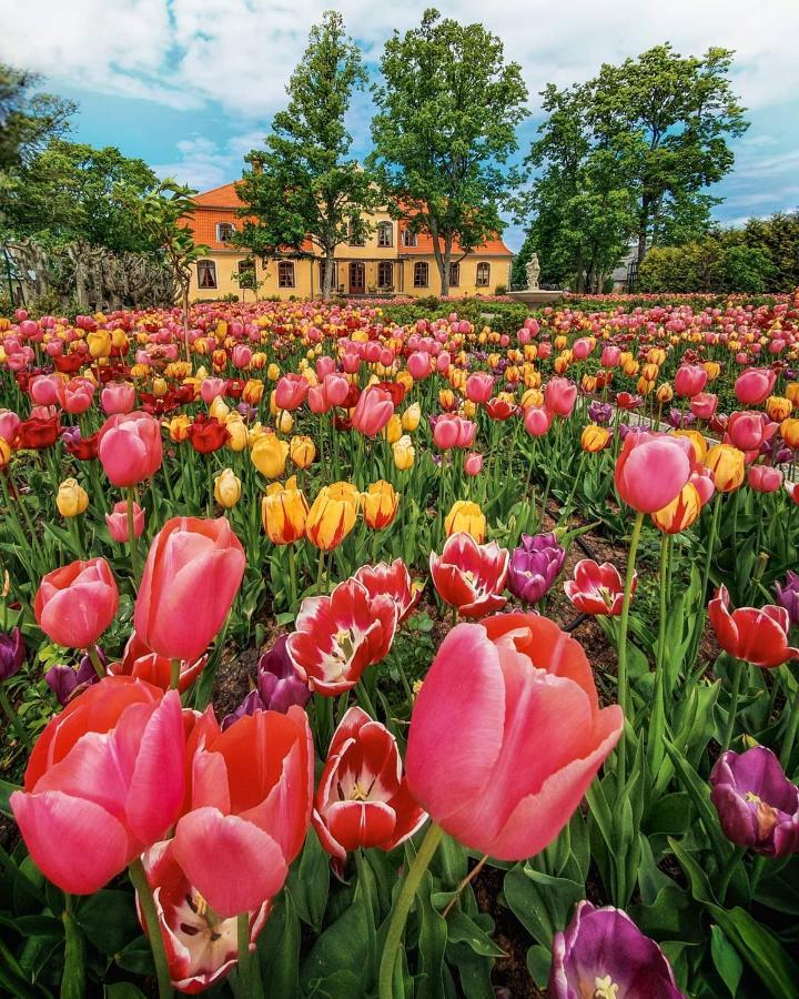 Liepupe Manor Otel Dış mekan fotoğraf